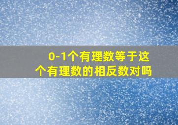 0-1个有理数等于这个有理数的相反数对吗