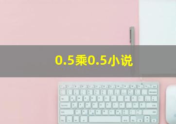 0.5乘0.5小说