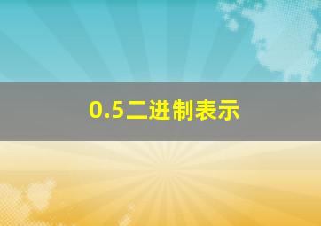 0.5二进制表示