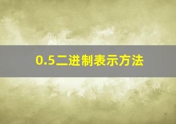 0.5二进制表示方法