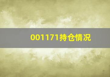 001171持仓情况