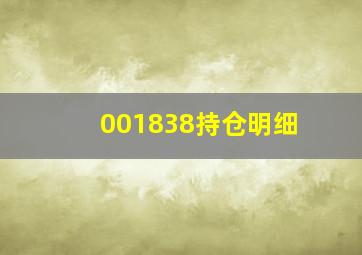 001838持仓明细