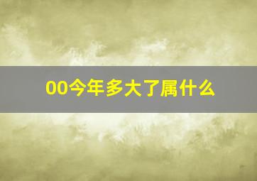 00今年多大了属什么