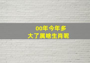 00年今年多大了属啥生肖呢