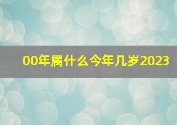 00年属什么今年几岁2023