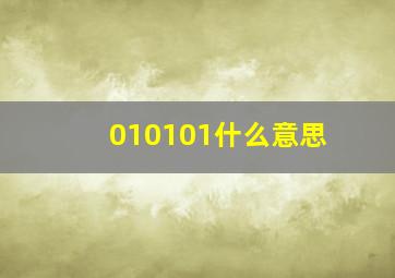 010101什么意思