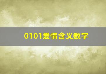 0101爱情含义数字