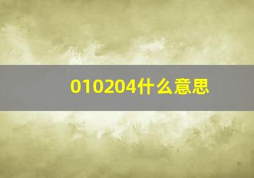 010204什么意思