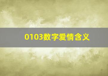 0103数字爱情含义