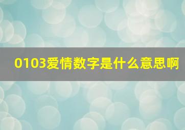 0103爱情数字是什么意思啊