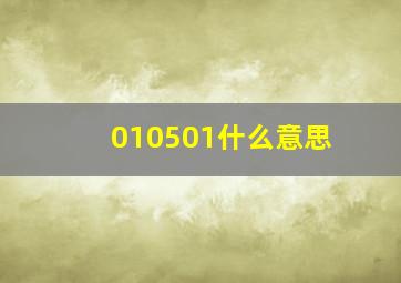 010501什么意思