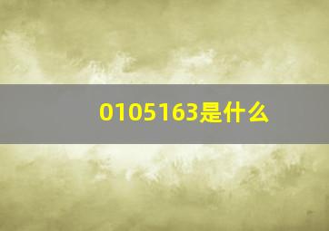 0105163是什么