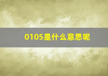 0105是什么意思呢