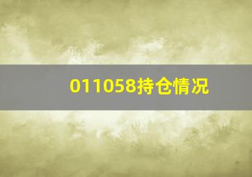 011058持仓情况