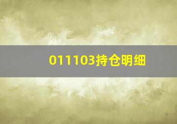 011103持仓明细