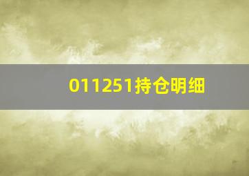 011251持仓明细