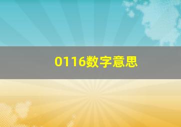 0116数字意思