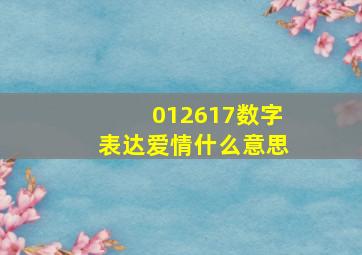 012617数字表达爱情什么意思