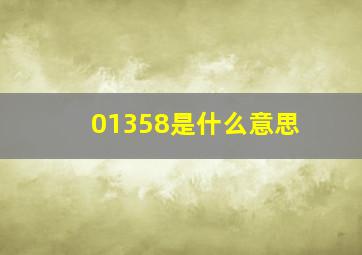 01358是什么意思