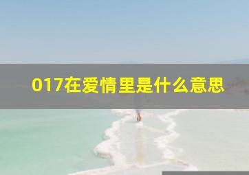 017在爱情里是什么意思