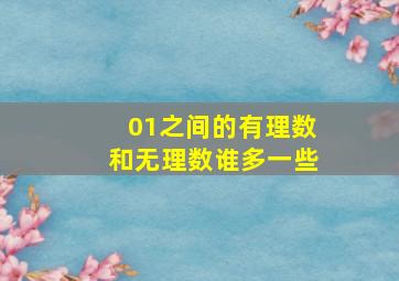 01之间的有理数和无理数谁多一些