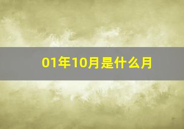 01年10月是什么月