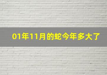 01年11月的蛇今年多大了