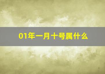 01年一月十号属什么