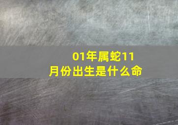 01年属蛇11月份出生是什么命