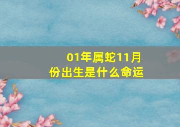 01年属蛇11月份出生是什么命运