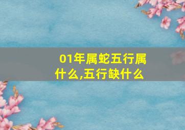 01年属蛇五行属什么,五行缺什么