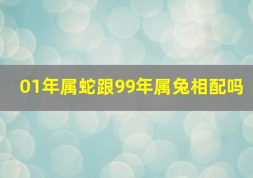 01年属蛇跟99年属兔相配吗