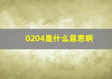 0204是什么意思啊