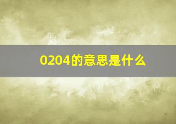 0204的意思是什么