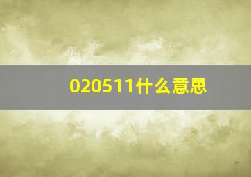 020511什么意思