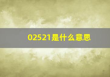 02521是什么意思