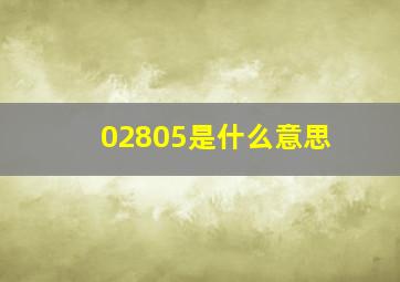 02805是什么意思