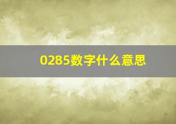 0285数字什么意思