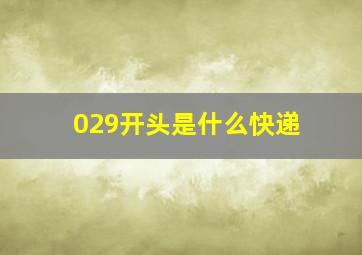 029开头是什么快递