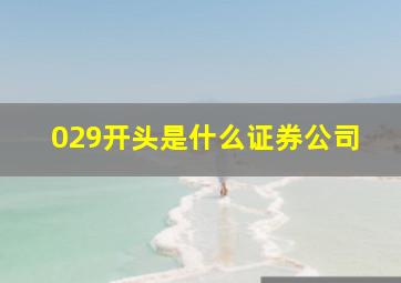 029开头是什么证券公司