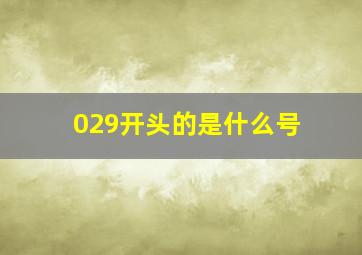 029开头的是什么号