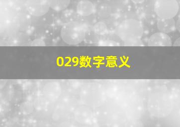 029数字意义