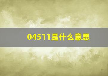 04511是什么意思