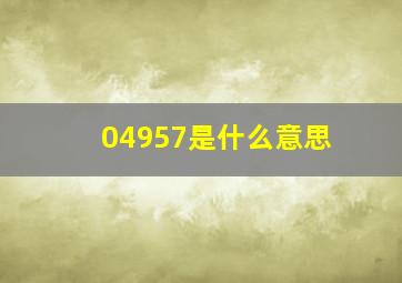 04957是什么意思