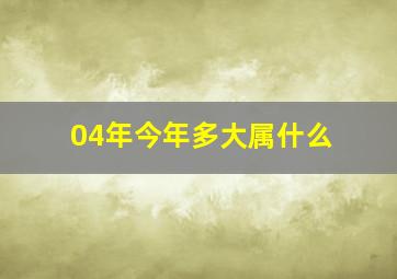 04年今年多大属什么