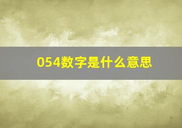 054数字是什么意思