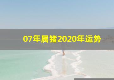 07年属猪2020年运势