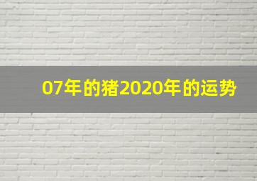 07年的猪2020年的运势