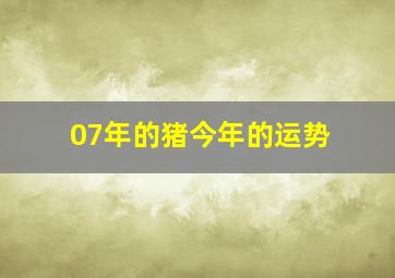 07年的猪今年的运势