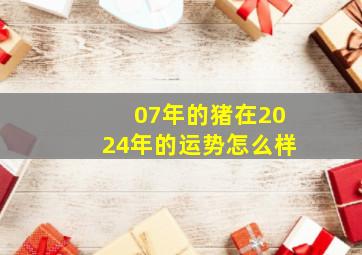 07年的猪在2024年的运势怎么样